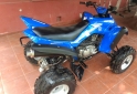 Cuatris y UTVs - Guerrero GFT 350 2015  116Km - En Venta