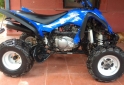 Cuatris y UTVs - Guerrero GFT 350 2015  116Km - En Venta