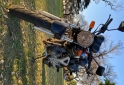 Motos - Honda CBX Twister 250cc 2009 Nafta 28600Km - En Venta