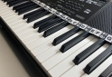 Instrumentos Musicales - Teclado Casio ctk-3500 sensitivo - En Venta