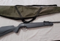 Deportes - Rifle Norica Atlantic 5.5 - En Venta