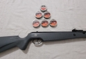 Deportes - Rifle Norica Atlantic 5.5 - En Venta