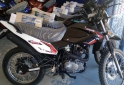 Motos - Motomel Skua 250 2024 Nafta 0Km - En Venta