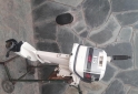 Otros (Nutica) - Johnson 15 HP - En Venta