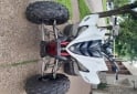 Cuatris y UTVs - Yamaha Raptor 350 2009  11111Km - En Venta