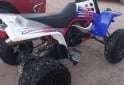 Cuatris y UTVs - Yamaha Banshee 2011  1111Km - En Venta