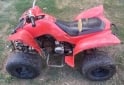 Cuatris y UTVs - Otra marca Sport 110 2008  99999Km - En Venta