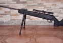 Otros - Aire comprimido Nitro pistn Fox - En Venta