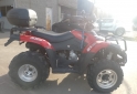 Cuatris y UTVs - Otra marca EUROMOT 300CC 2022  1069Km - En Venta