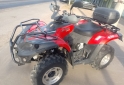 Cuatris y UTVs - Otra marca EUROMOT 300CC 2022  1069Km - En Venta