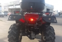 Cuatris y UTVs - Otra marca EUROMOT 300CC 2022  1069Km - En Venta