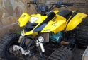 Cuatris y UTVs - Panther WR 200 2006  111111Km - En Venta