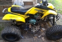 Cuatris y UTVs - Panther WR 200 2006  111111Km - En Venta