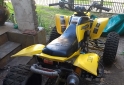 Cuatris y UTVs - Panther WR 200 2006  111111Km - En Venta