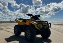 Cuatris y UTVs - Can Am Outlander 800 2008  9800Km - En Venta