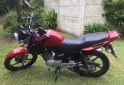 Motos - Yamaha YBR 125 ED 2020 Nafta 6600Km - En Venta