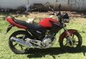 Motos - Yamaha YBR 125 ED 2020 Nafta 6600Km - En Venta