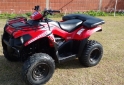 Cuatris y UTVs - Kawasaki Brute Force 300 2013  7500Km - En Venta