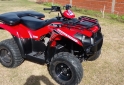 Cuatris y UTVs - Kawasaki Brute Force 300 2013  7500Km - En Venta