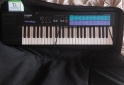 Instrumentos Musicales - Piano/Organo casio ca 100 - En Venta