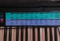 Instrumentos Musicales - Piano/Organo casio ca 100 - En Venta