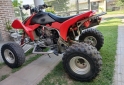 Cuatris y UTVs - Honda Trx 450 r 2008  1000Km - En Venta