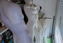 Indumentaria - MANIQUIES - En Venta