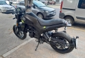 Motos - Benelli Leoncino 250 2024 Nafta 2000Km - En Venta