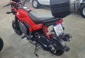 Motos - Honda Navi - elite, zr 2024 Nafta 700Km - En Venta