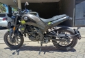 Motos - Benelli Leoncino 250 2024 Nafta 2640Km - En Venta