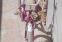 Deportes - BICICLETA PRINCESA RODADO 20 - En Venta