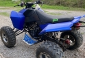 Cuatris y UTVs - Zanella 300 FX 2017  1700Km - En Venta