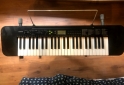 Instrumentos Musicales - rgano CASIO CTK-240 + PIE - En Venta