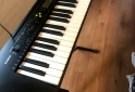 Instrumentos Musicales - rgano CASIO CTK-240 + PIE - En Venta