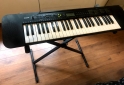 Instrumentos Musicales - rgano CASIO CTK-240 + PIE - En Venta