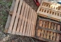 Otros - Pallets de madera usados - En Venta