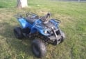 Cuatris y UTVs - Panther PANTHER PARRILLERO 110 2012 Nafta 2000Km - En Venta