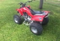 Cuatris y UTVs - Mondial 110 2015  100Km - En Venta