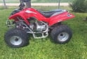 Cuatris y UTVs - Mondial 110 2015  100Km - En Venta