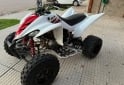 Cuatris y UTVs - Yamaha Raptor 350 2011  111Km - En Venta