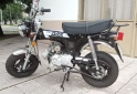 Motos - Mondial dax 70 2023 Nafta 500Km - En Venta