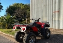 Cuatris y UTVs - Otra marca ATV 2005  5000Km - En Venta