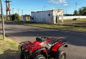 Cuatris y UTVs - Otra marca ATV 2005  5000Km - En Venta