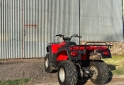 Cuatris y UTVs - Otra marca ATV 2005  5000Km - En Venta