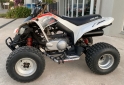 Cuatris y UTVs - Can Am CAN-AM DS 250 2009   - En Venta