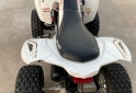 Cuatris y UTVs - Can Am CAN-AM DS 250 2009   - En Venta