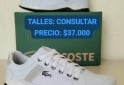 Indumentaria - Zapatillas Lacoste 🐊 - En Venta