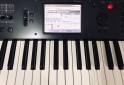 Instrumentos Musicales - Korg m50 - En Venta