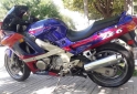 Motos - Kawasaki ZX6 600cc 1994 Nafta 999999Km - En Venta