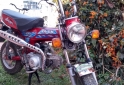 Motos - Honda DAX 1995 Nafta 33577Km - En Venta